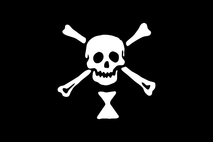Bandera Pirata Jack Hueso en Raso de Alta Calidad